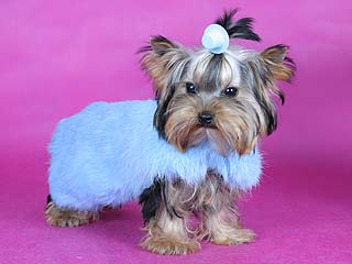 ����������� ������ � ������� �� ����� ����������.