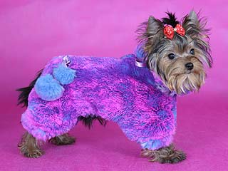 ����������� ������ � ������� �� ����� ����������.