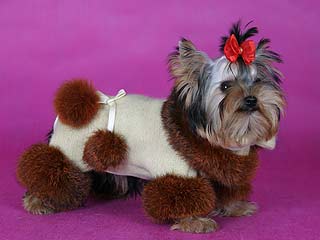 ����������� ������ � ������� �� ����� ����������.