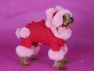 ����������� ������ � ������� �� ����� ����������.