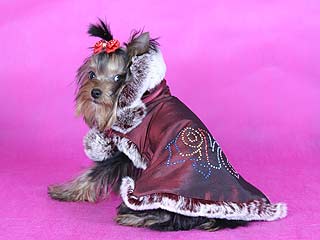 ����������� ������ � ������� �� ����� ����������.