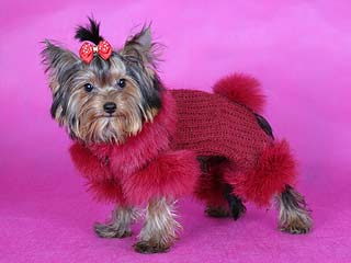 ����������� ������ � ������� �� ����� ����������.