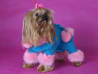 ����������� ������ � ������� �� ����� ����������.