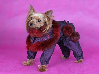 ����������� ������ � ������� �� ����� ����������.