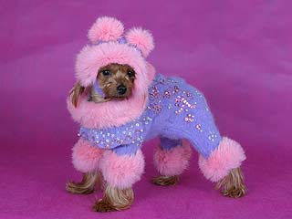 ����������� ������ � ������� �� ����� ����������.