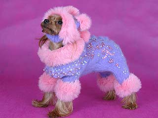 ����������� ������ � ������� �� ����� ����������.