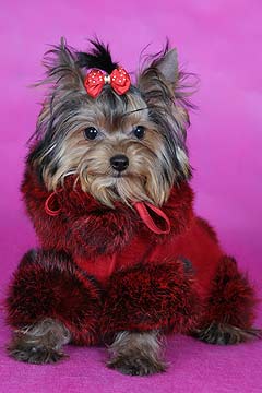 ����������� ������ � ������� �� ����� ����������.