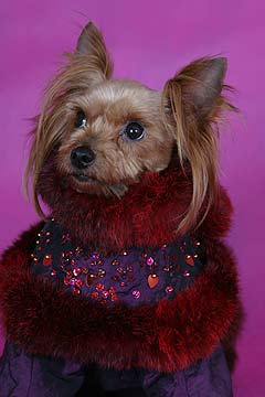 ����������� ������ � ������� �� ����� ����������.