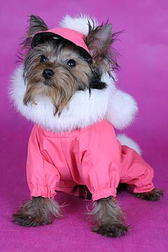 ����������� ������ � ������� �� ����� ����������.