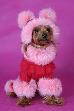 ����������� ������ � ������� �� ����� ����������.