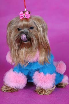 ����������� ������ � ������� �� ����� ����������.