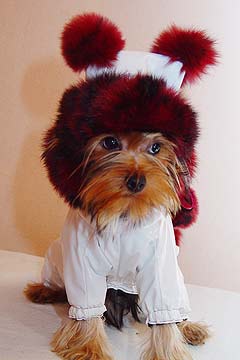 ����������� ������ � ������� �� ����� ����������.