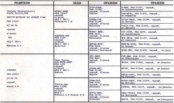 ������� ������ ������ ����� ���.