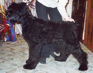 ������� ������ ������.