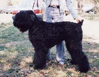 ������� ������ ������.