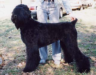 ������� ������ ������.