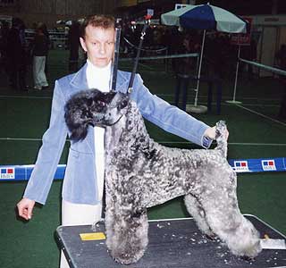 �����-��� ������.