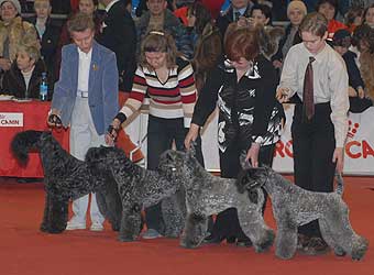 �����-��� ������.