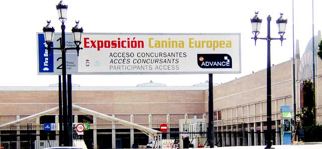 ��������� ������ 4-6 ���� 2004 �.� ���������  (�������).