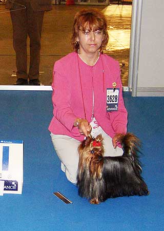 ����������� ������