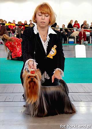 ����������� ������