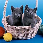 ������� ������� �����.