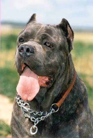 ������� ����� ��. �������� �.�.<