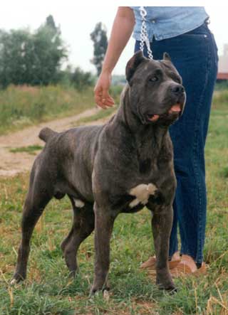 ������� �����.