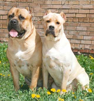 ����������� � ���� ��� �� ���� ���������