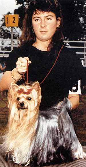 Ch. V.O. de Penghibur.