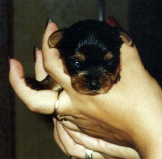 �������� ������ ���� �� ���� 1 �����