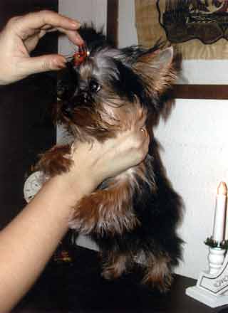 �������� ����� ������� �� ���� 4 ������.