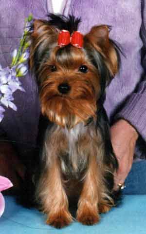 ���� 7 �������..