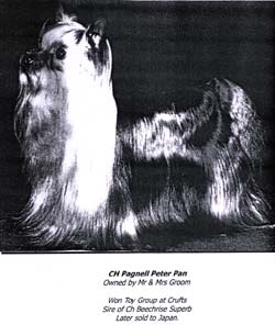 World ch 92-93 Comeback.