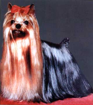 ���� ����� �� ������� 10 �������.