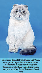 ������� ���� E.I.Ch. Merry Cat Vinny �������� ����� ���-�����-�����, � �������� 1 ���� �� ��������� ���������� ��� ���� ����������� ������ � ����� ���� ������� 2003 ����