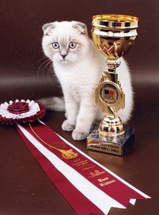 ����������� ��������� ������� � �������� 4 ������. ���������� ����� &laquoHill's - 2002&raquo.