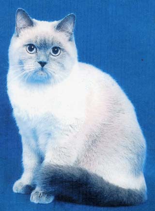 ���������� ������� 10 �������.