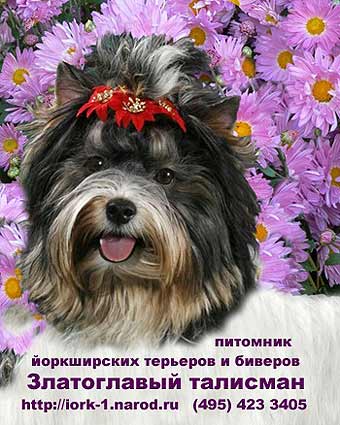 ����� ����.