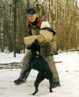 ������� � �������� � �������� 8,5 �������.