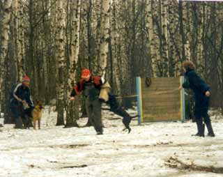 �������.