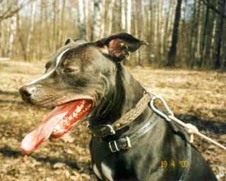 �������.