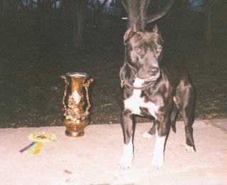 ��� ������ ������������ �������������