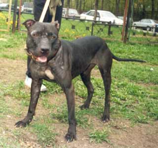 ������������ ��������������