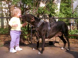 ������� � ������������ ���������������