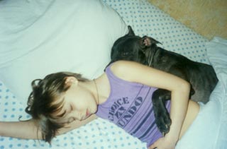 ������������ �������������