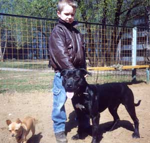 ������������ �������������