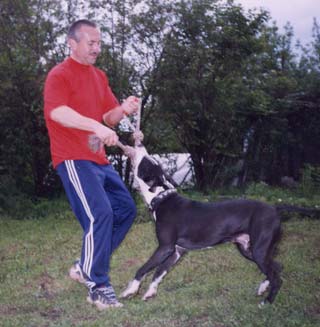 ������� ����� (������ ���-�����).