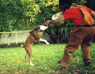 �������.