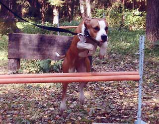 ������� Valkiria Bullet.